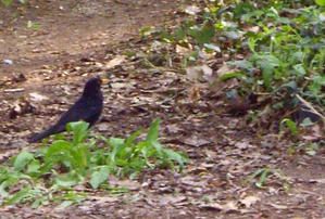 IMGP0571.jpg