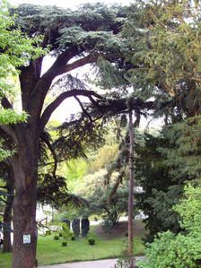 IMGP0650.jpg