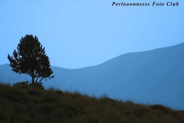 montagnes-copie.jpg