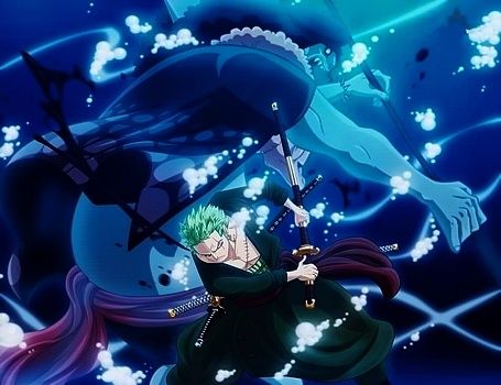 Zoro-vs-Hodi.jpg