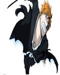Ichigo Bankai