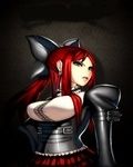 Erza 4