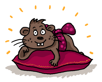 hamster-cadeau2
