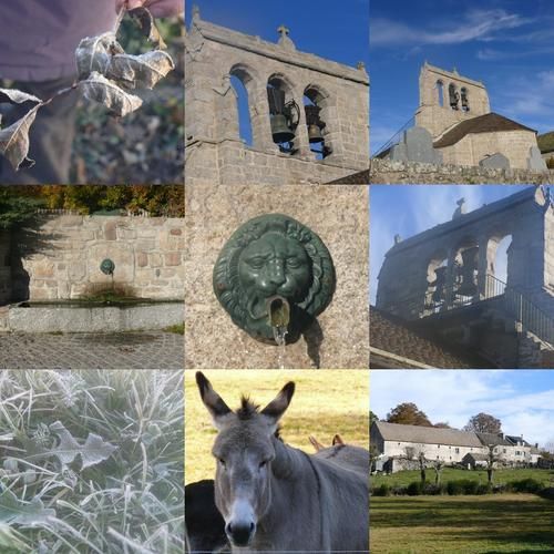 collage10.jpg