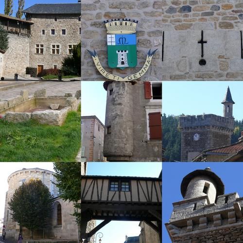 collage7.jpg