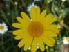 vacances-p--ques2-170--3-.jpg