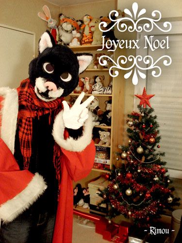 Noel-2009-FR.jpg