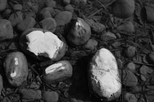Dranse-024.JPG