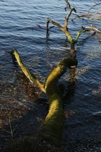 lac-leman-009.JPG