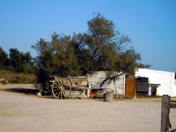 charette.jpg