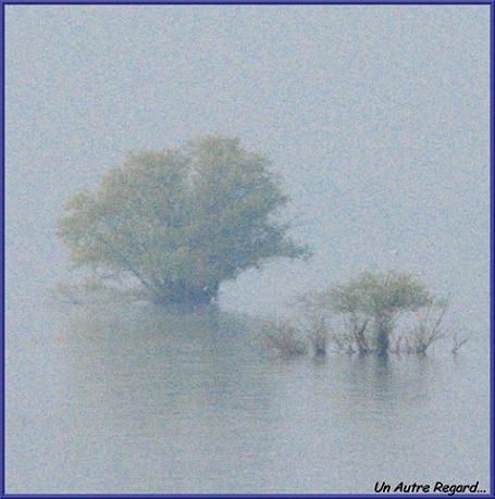La Brume