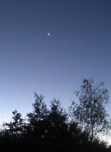 venus.jpg