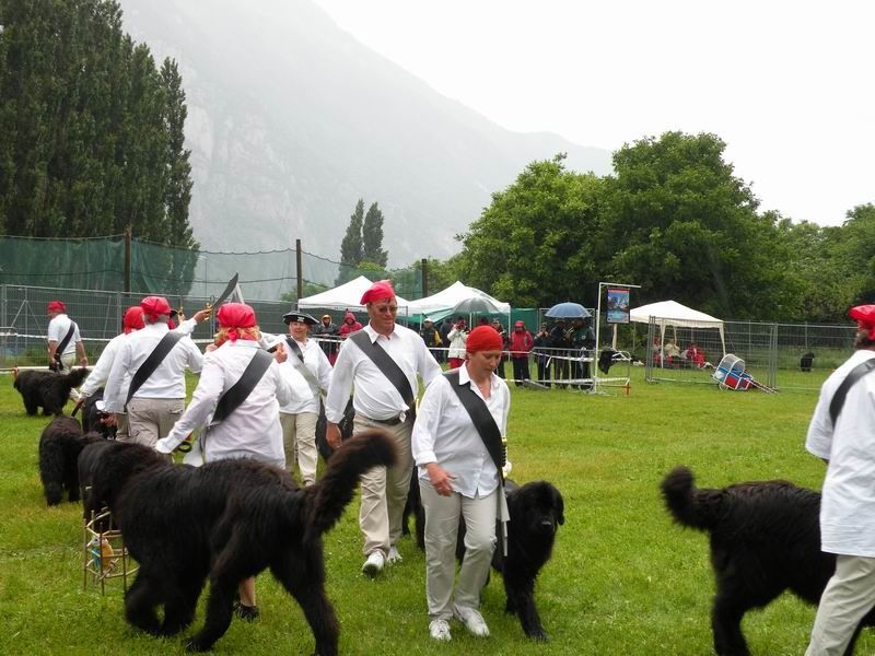 rencontre internationale terre neuve