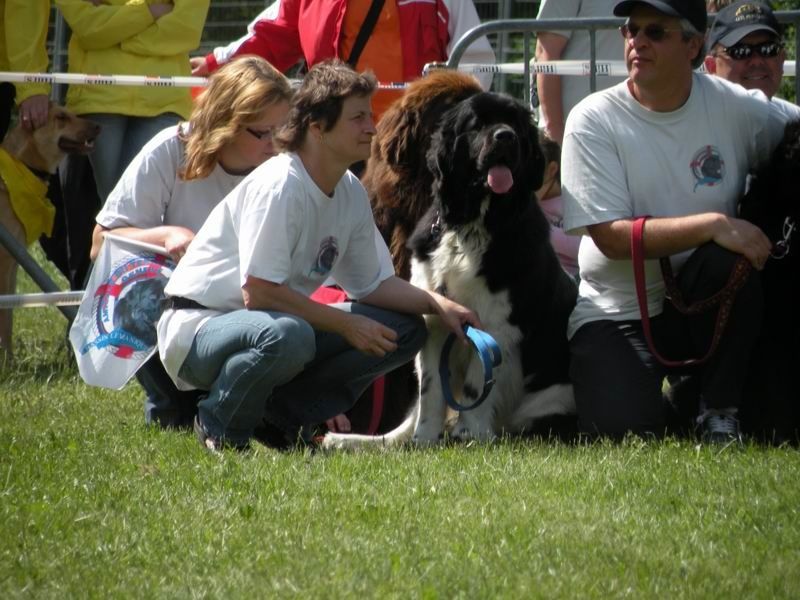 rencontre entre toutou