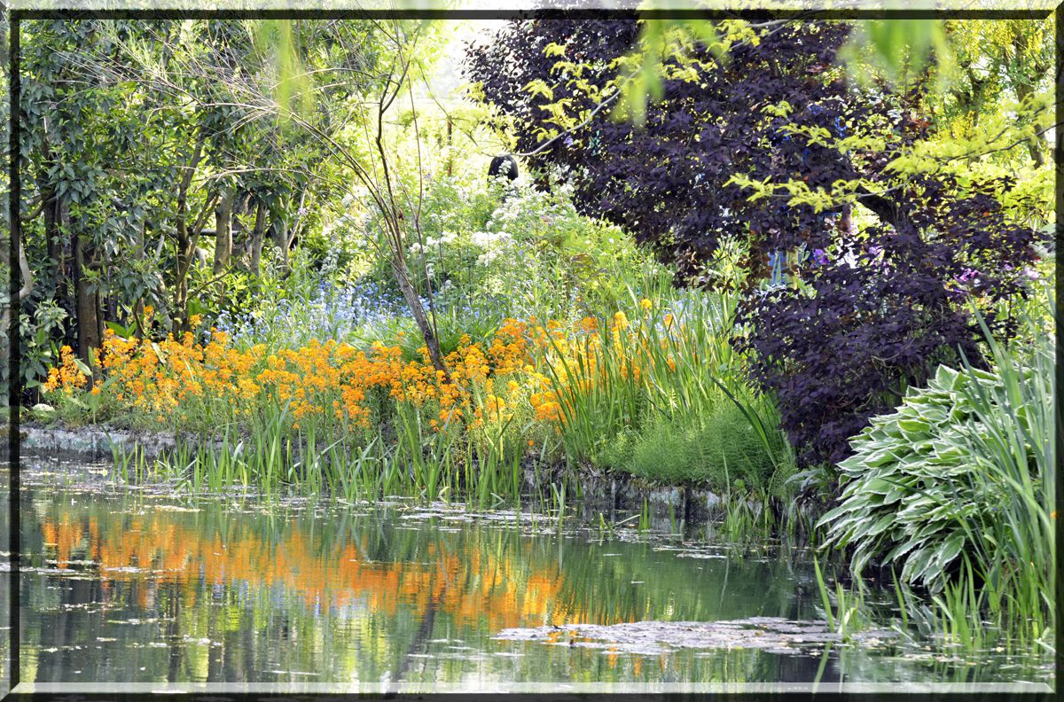 GIVERNY AVRIL2011 065 copie