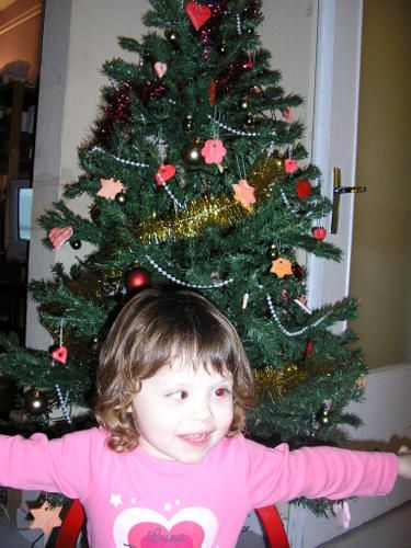 tree-2007-014.jpg