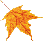 feuille-2.gif