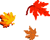 feuille.gif