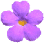 fleur-mauve.gif