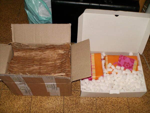 Photo.jpg