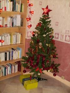 sapin2007.jpg