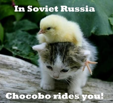 chocobo.jpeg