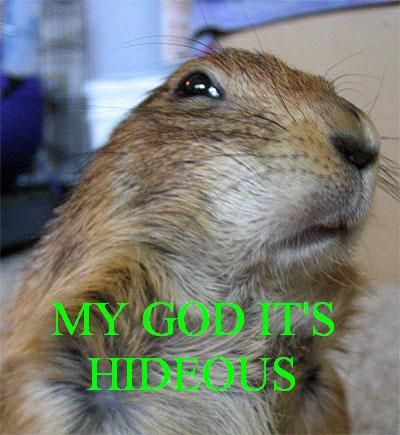 hideous-squirrel.jpeg