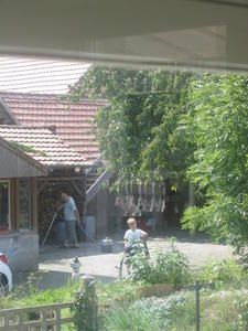 IMG-6975.JPG