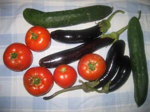 IMG-6978.JPG