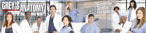 greys2006-0.jpg