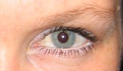 oeil-lutine.png
