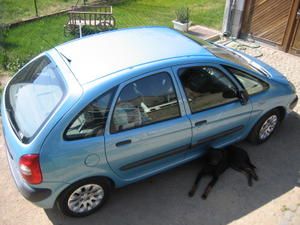 IMG-6199.JPG