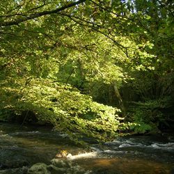 tn-Fleuve.jpg