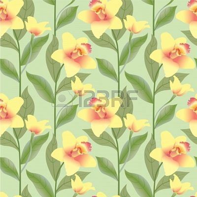 tn 16228787-floral-modele-fond-transparent-avec-des-orchide