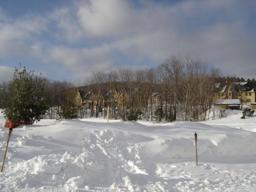 DSC09078.JPG