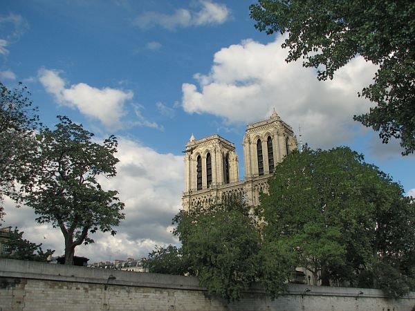 Notre-Dame vue du quai Saint-Michel (Paris VI)