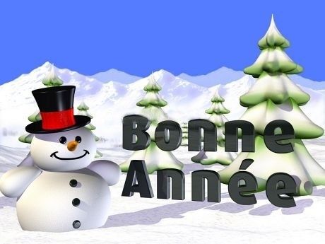 big_bonne-annee.jpg