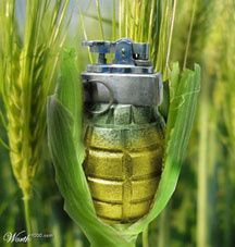 corn-grenade.jpg