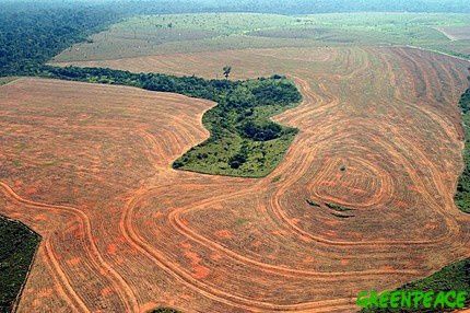 deforestation-novoprogresso.jpg