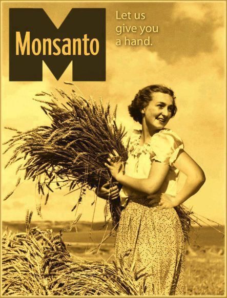Monsanto blé