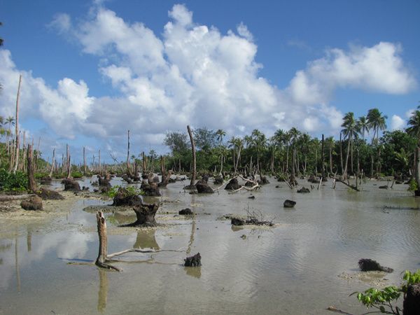 montee-des-eaux-iles-torres-vanuatu.jpg