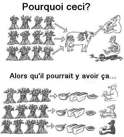 nourriture-pour-tout-le-monde.jpg