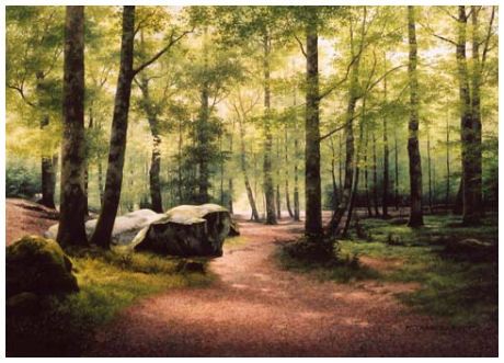 a_foret_de_fontainebleau_1296767563.jpg