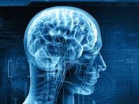 cerveau.jpg