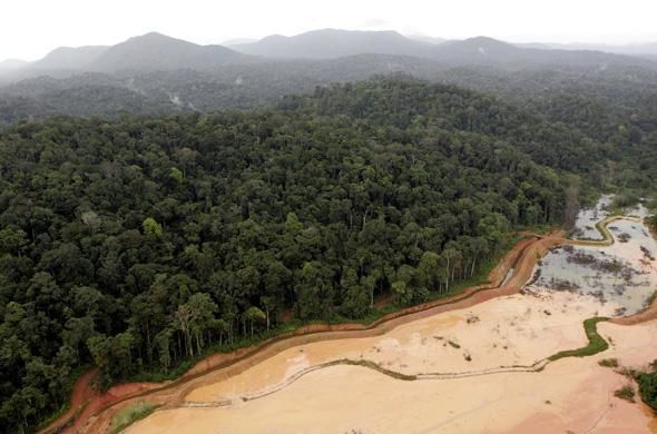 article_guyane.jpg