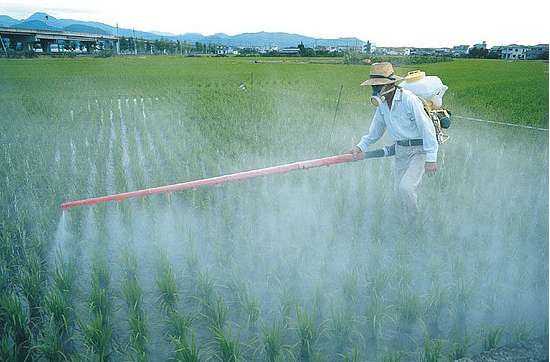 parkinson-et-pesticides.jpg
