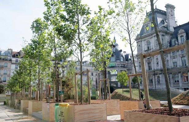 article_jardin.jpg
