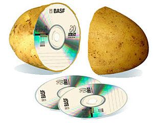 patate-ogm.jpg