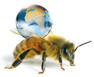 disparition-abeille.jpg