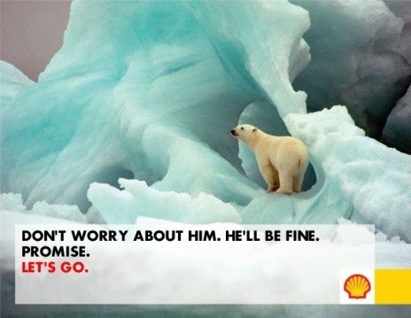 shell.jpg